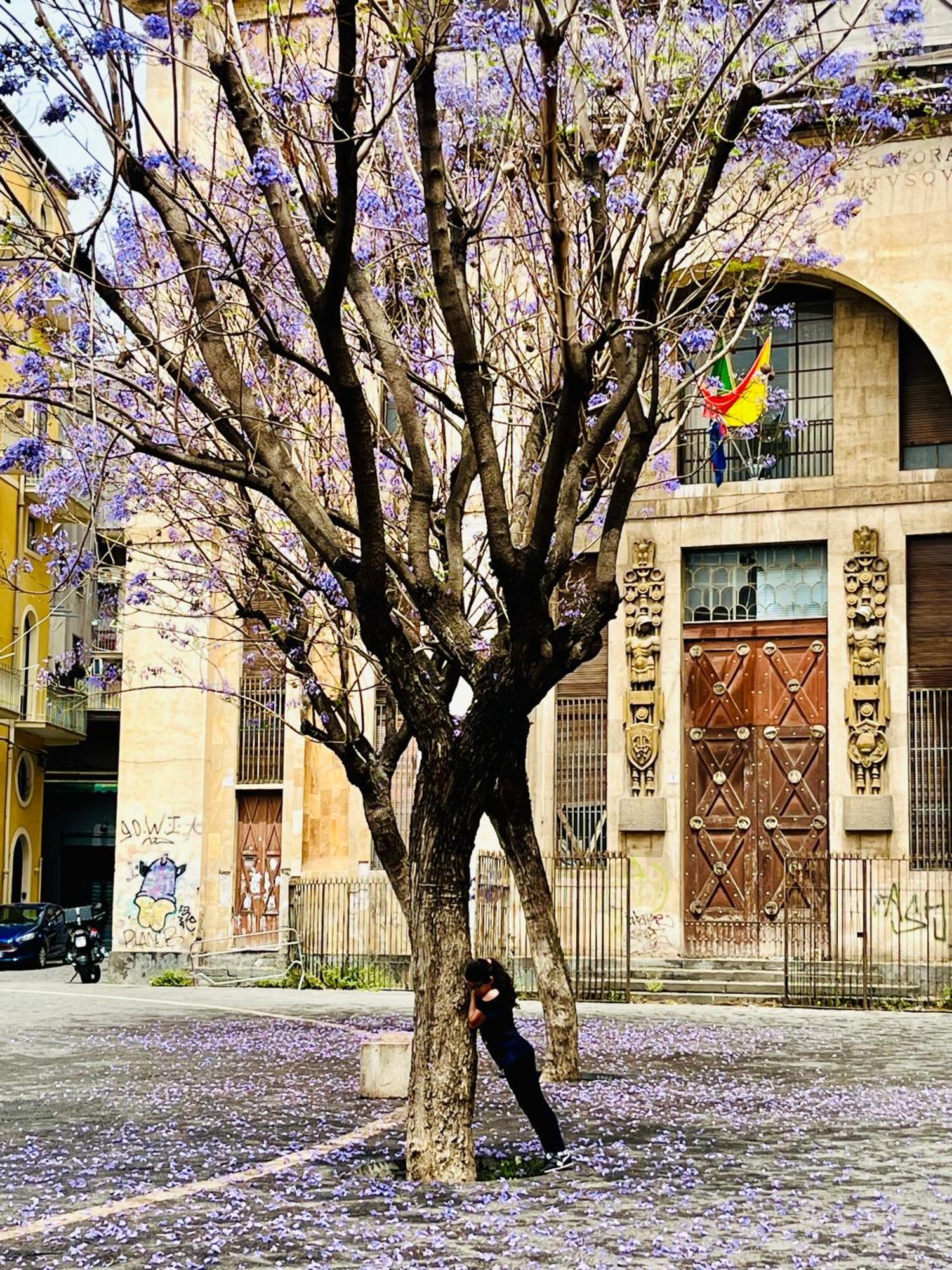 Happy Apartment Catania